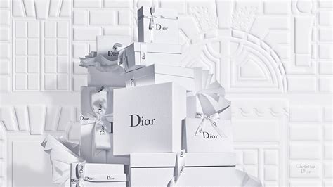 christian dior ssense|Dior official website uk.